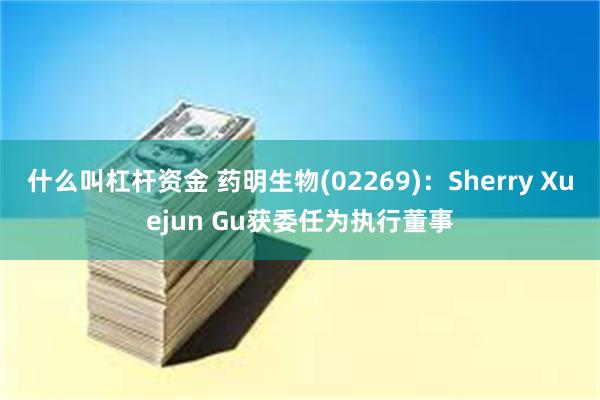什么叫杠杆资金 药明生物(02269)：Sherry Xuejun Gu获委任为执行董事
