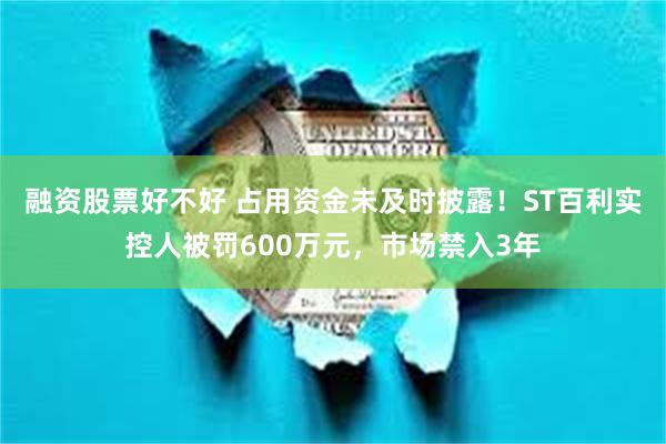融资股票好不好 占用资金未及时披露！ST百利实控人被罚600万元，市场禁入3年