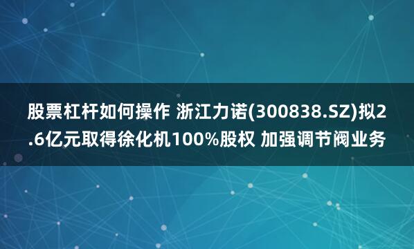 股票杠杆如何操作 浙江力诺(300838.SZ)拟2.6亿元取得徐化机100%股权 加强调节阀业务