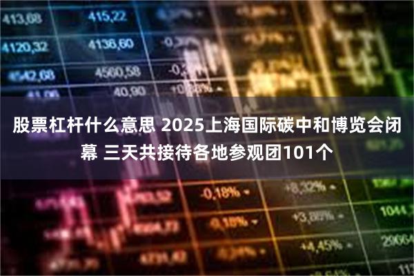 股票杠杆什么意思 2025上海国际碳中和博览会闭幕 三天共接待各地参观团101个