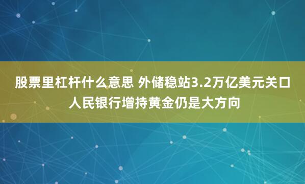 股票里杠杆什么意思 外储稳站3.2万亿美元关口 人民银行增持黄金仍是大方向