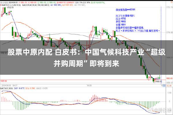股票中原内配 白皮书：中国气候科技产业“超级并购周期”即将到来