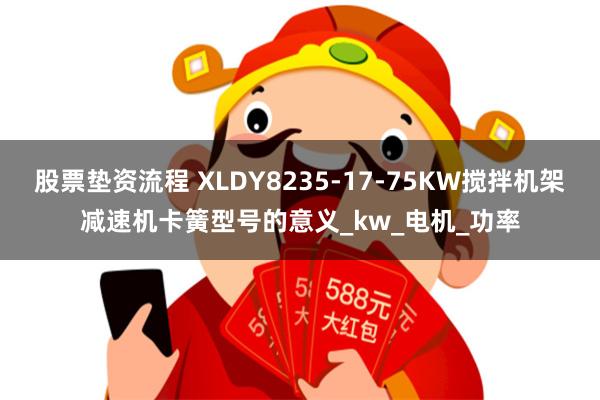 股票垫资流程 XLDY8235-17-75KW搅拌机架减速机卡簧型号的意义_kw_电机_功率