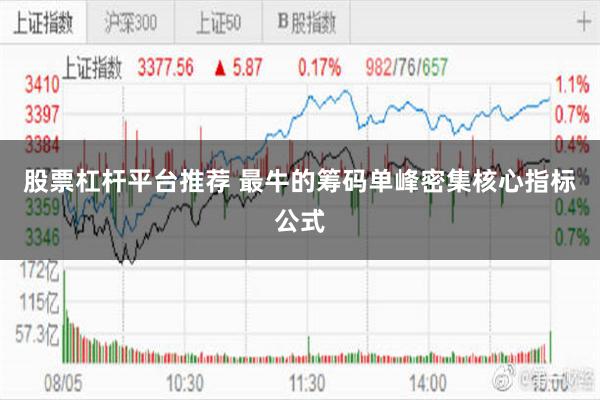 股票杠杆平台推荐 最牛的筹码单峰密集核心指标公式