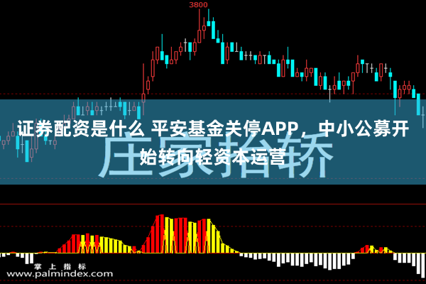 证券配资是什么 平安基金关停APP，中小公募开始转向轻资本运营