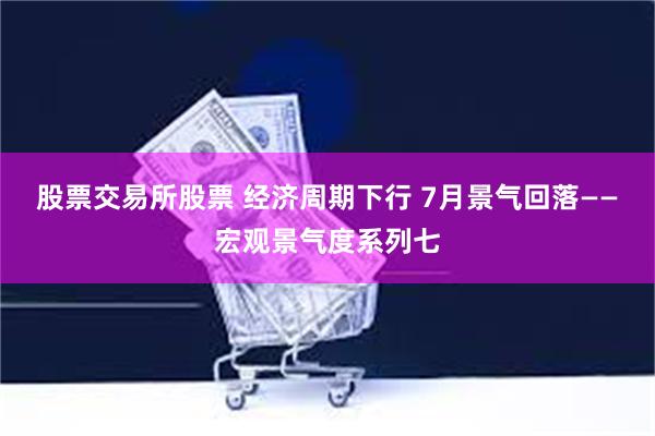 股票交易所股票 经济周期下行 7月景气回落——宏观景气度系列七