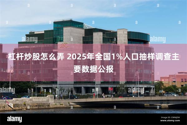 杠杆炒股怎么弄 2025年全国1%人口抽样调查主要数据公报
