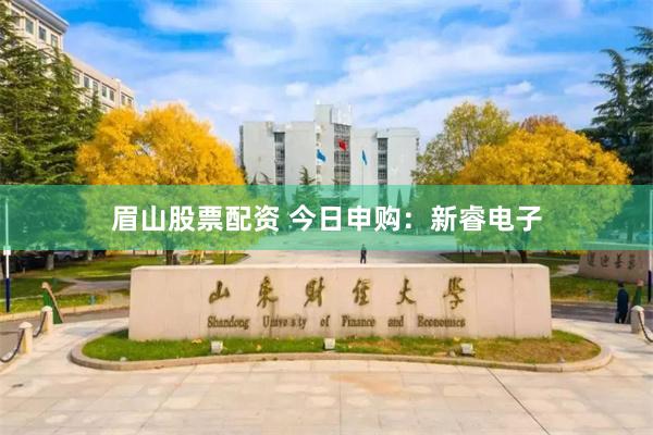 眉山股票配资 今日申购：新睿电子