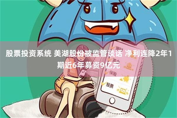 股票投资系统 美湖股份被监管谈话 净利连降2年1期近6年募资9亿元