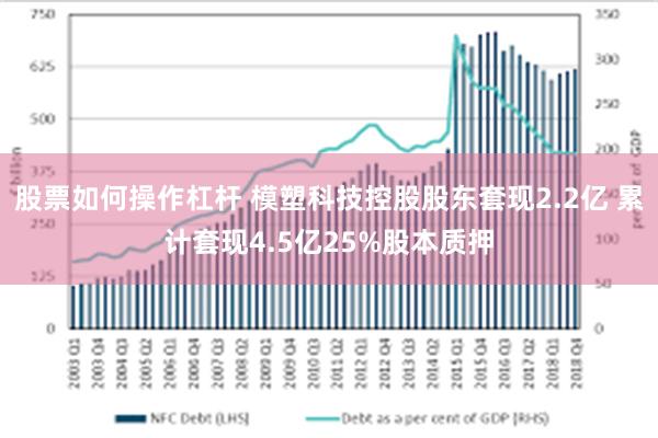 股票如何操作杠杆 模塑科技控股股东套现2.2亿 累计套现4.5亿25%股本质押