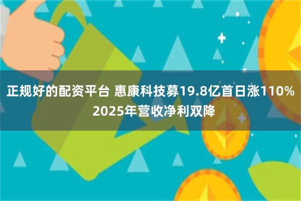 正规好的配资平台 惠康科技募19.8亿首日涨110%  2025年营收净利双降