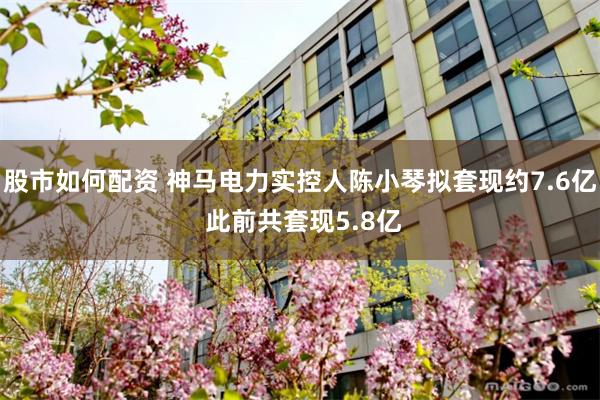 股市如何配资 神马电力实控人陈小琴拟套现约7.6亿 此前共套现5.8亿
