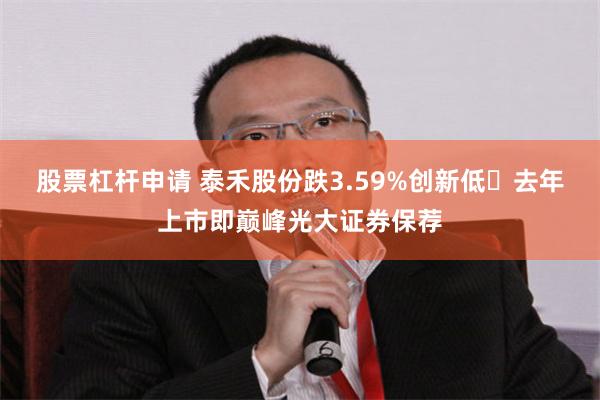 股票杠杆申请 泰禾股份跌3.59%创新低 去年上市即巅峰光大证券保荐