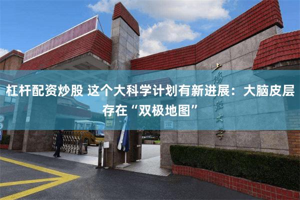 杠杆配资炒股 这个大科学计划有新进展：大脑皮层存在“双极地图”