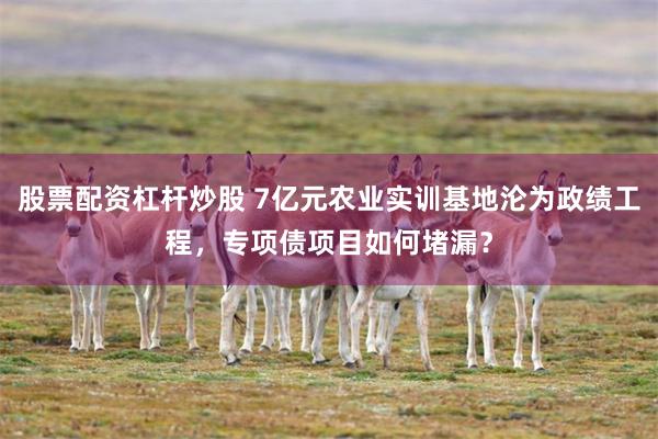 股票配资杠杆炒股 7亿元农业实训基地沦为政绩工程，专项债项目如何堵漏？