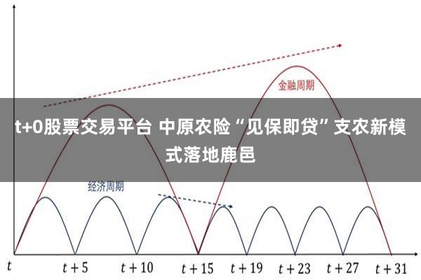 t+0股票交易平台 中原农险“见保即贷”支农新模式落地鹿邑