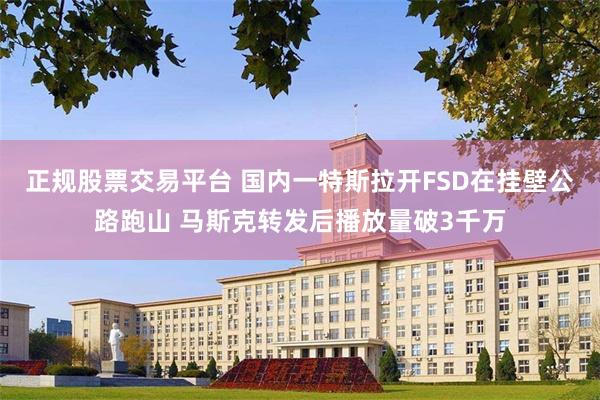 正规股票交易平台 国内一特斯拉开FSD在挂壁公路跑山 马斯克转发后播放量破3千万