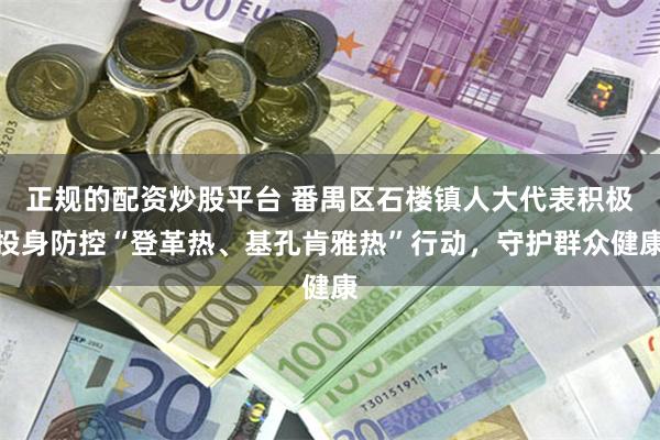 正规的配资炒股平台 番禺区石楼镇人大代表积极投身防控“登革热、基孔肯雅热”行动，守护群众健康