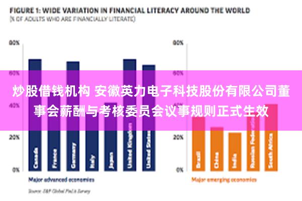 炒股借钱机构 安徽英力电子科技股份有限公司董事会薪酬与考核委员会议事规则正式生效