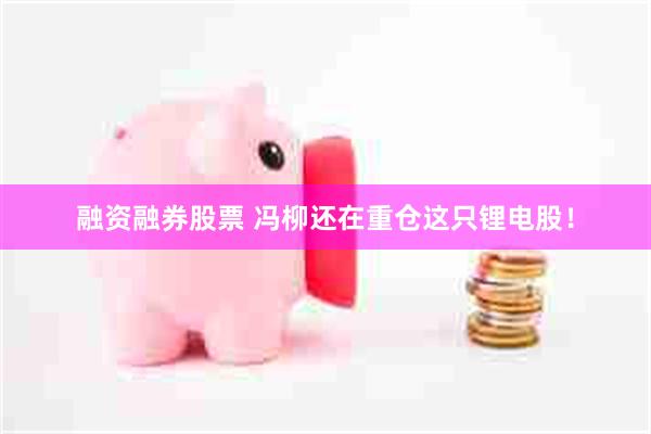 融资融券股票 冯柳还在重仓这只锂电股！