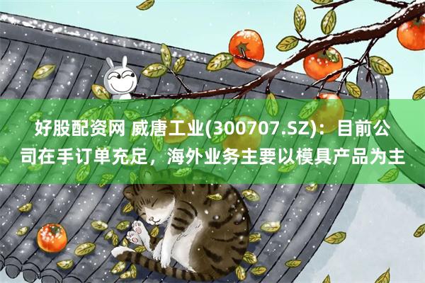 好股配资网 威唐工业(300707.SZ)：目前公司在手订单充足，海外业务主要以模具产品为主