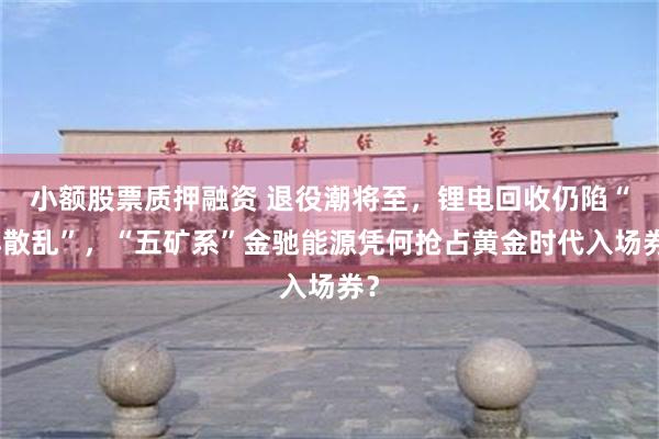 小额股票质押融资 退役潮将至,锂电回收仍陷“小散乱”,“五矿系”金驰能源凭何抢占黄金时代入场券?