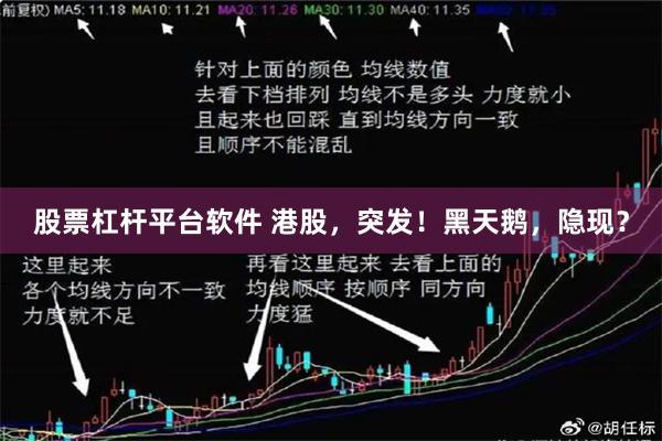 股票杠杆平台软件 港股，突发！黑天鹅，隐现？