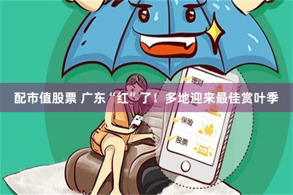 配市值股票 广东“红”了！多地迎来最佳赏叶季