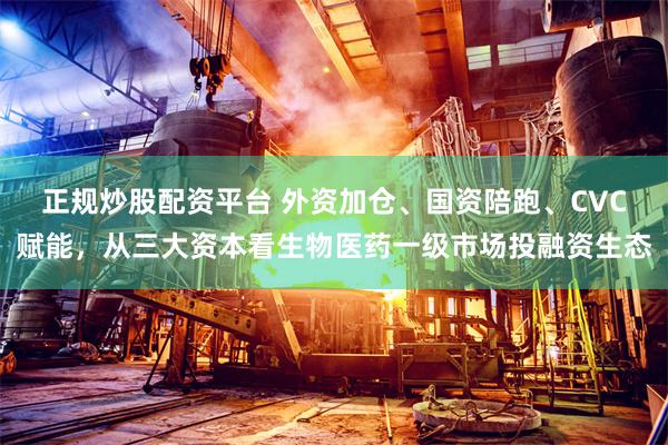 正规炒股配资平台 外资加仓、国资陪跑、CVC赋能，从三大资本看生物医药一级市场投融资生态