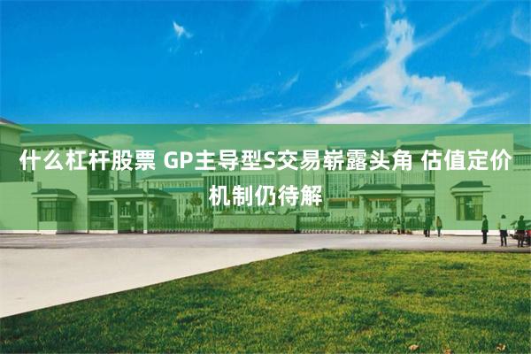 什么杠杆股票 GP主导型S交易崭露头角 估值定价机制仍待解