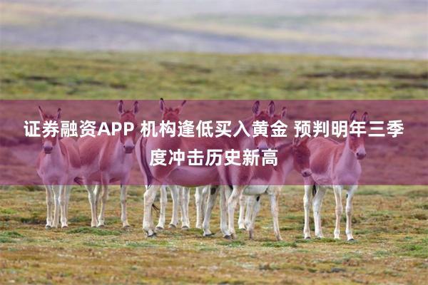 证券融资APP 机构逢低买入黄金 预判明年三季度冲击历史新高