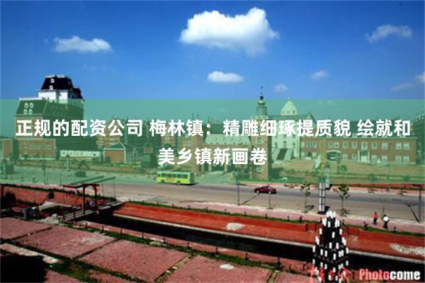 正规的配资公司 梅林镇：精雕细琢提质貌 绘就和美乡镇新画卷