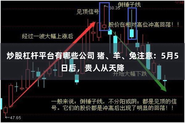 炒股杠杆平台有哪些公司 猪、羊、兔注意：5月5日后，贵人从天降