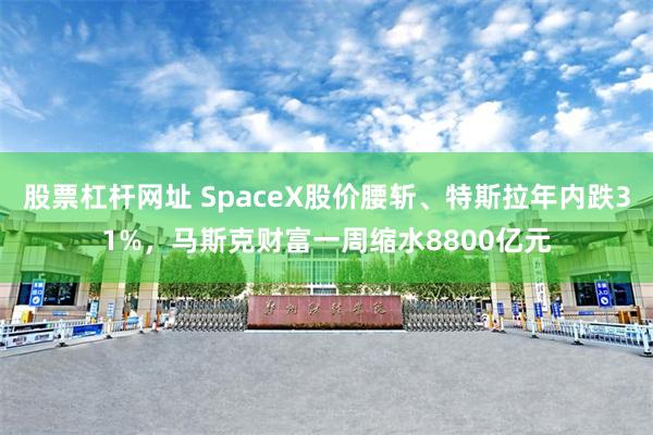 股票杠杆网址 SpaceX股价腰斩、特斯拉年内跌31%，马斯克财富一周缩水8800亿元