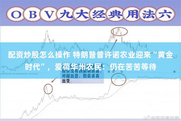 配资炒股怎么操作 特朗普曾许诺农业迎来“黄金时代”，爱荷华州农民：仍在苦苦等待