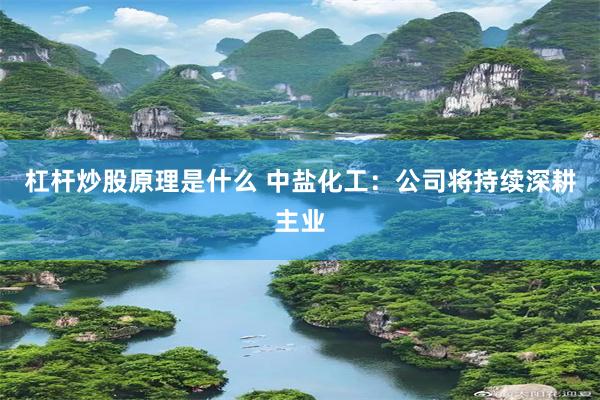 杠杆炒股原理是什么 中盐化工：公司将持续深耕主业