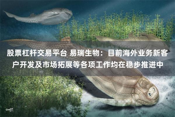股票杠杆交易平台 易瑞生物：目前海外业务新客户开发及市场拓展等各项工作均在稳步推进中
