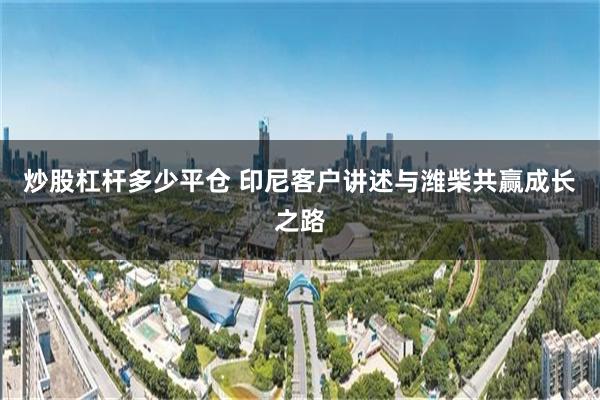 炒股杠杆多少平仓 印尼客户讲述与潍柴共赢成长之路