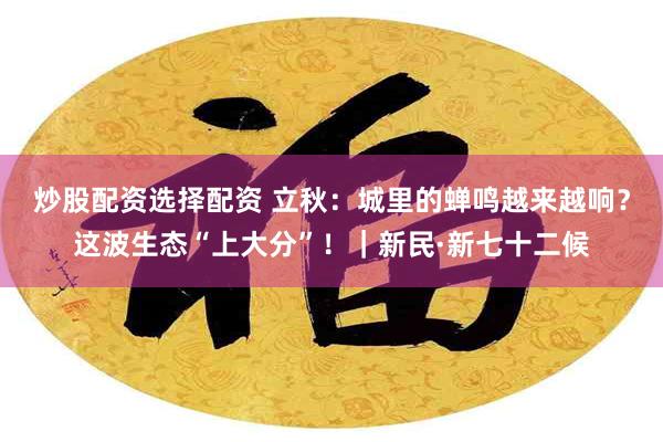 炒股配资选择配资 立秋：城里的蝉鸣越来越响？这波生态“上大分”！｜新民·新七十二候