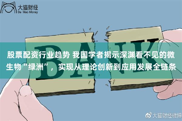 股票配资行业趋势 我国学者揭示深渊看不见的微生物“绿洲”，实现从理论创新到应用发展全链条