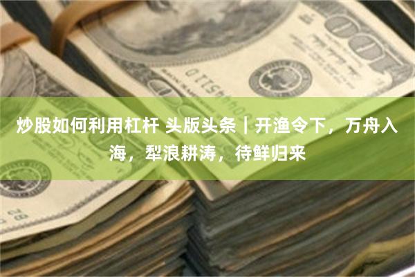 炒股如何利用杠杆 头版头条｜开渔令下，万舟入海，犁浪耕涛，待鲜归来