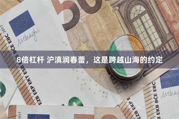 8倍杠杆 沪滇润春蕾，这是跨越山海的约定
