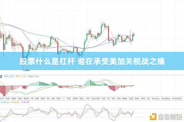 股票什么是杠杆 谁在承受美加关税战之痛