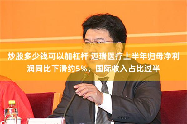 炒股多少钱可以加杠杆 迈瑞医疗上半年归母净利润同比下滑约5%，国际收入占比过半