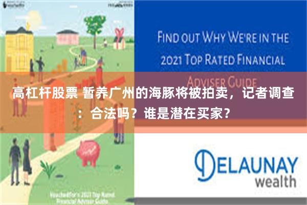 高杠杆股票 暂养广州的海豚将被拍卖，记者调查：合法吗？谁是潜在买家？