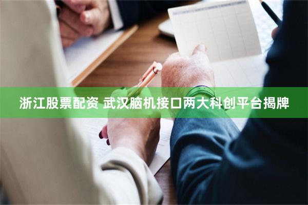 浙江股票配资 武汉脑机接口两大科创平台揭牌
